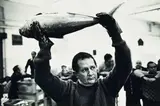 Robert McFarlane, Fish Auctioneer, Sydney, gelatin silver print