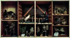 Neil Pardington, Land Invertebrates Store No. 1, LED print on Fuji crystal archival paper, edition of 15
