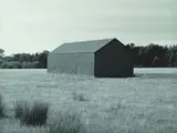 Peter Peryer, Barn