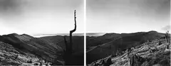 Mark Adams, "The Food Basket of Rakaihautu" from Horomaka, gold-toned silver bromide print, edition of 5 (diptych)
