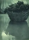 Baron Adolph de Meyer, Still Life with Basket of Grapes, photogravure, circa 1908