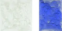 Mikala Dwyer, Vanilla Pearl together with Bruize, nail polish on canvas, two panels