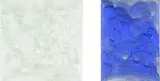 Mikala Dwyer, Vanilla Pearl together with Bruize, nail polish on canvas, two panels