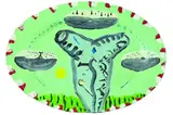 Bill Hammond and Gavin Chilcott, Untitled, acrylic on disposable plate