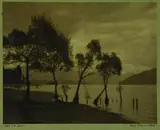 George Chance, Young Willows, Lake Wanaka
