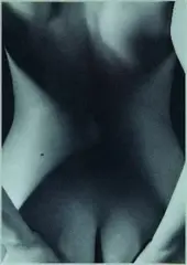 Geometric Nude by Meighan Ellis, gelatin silver print, 2/3, sold Mar 2011