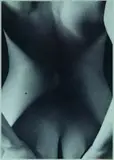 Meighan Ellis, Geometric Nude, gelatin silver print, 2/3
