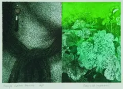 Eirly's Ladies Mantle by Carole Shepheard, etching, a/p, offered Mar 2011