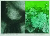 Carole Shepheard, Eirly's Ladies Mantle, etching, a/p