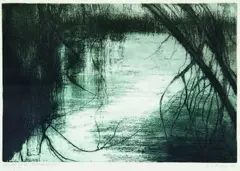 June Ritchie, Winter Edge: Rotopounamu, etching, 10/40