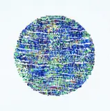 Peata Larkin, Tarawera No. 4, acrylic on mesh on canvas