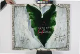 Gail Haffern, Interleave, mixed media on canvas