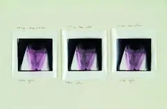 Man the Cake by Merylyn Tweedie, three selenium-toned Ilfobrom Galerie photographs mounted to board, sold Mar 2011