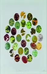 Euphemia by Janet Muir, acrylic on paper, 31 parts, sold Mar 2011