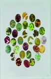 Janet Muir, Euphemia, acrylic on paper, 31 parts