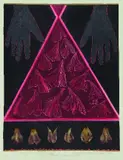 Marilynn Webb, Protection work - dark tulip' from the Pacific Countdown Suite