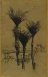 Trevor Lloyd, Nikaus, etching