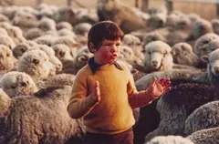 Brian Brake, The Farmer's Son, Canterbury, chromogenic colour print