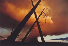 Burning Trees, Rotorua by Brian Brake, chromogenic colour print, sold Dec 2010