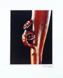 Brian Brake, Tangata: The Maori Vision of Man