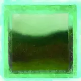 Andrew Barber, Study No. 22