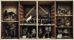 Neil Pardington, Land Invertebrates Store No. 1, LED print on Fuji crystal archival paper, edition of 15
