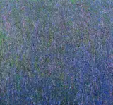 Robert McLeod, Lilac and Heather