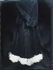 Fiona Pardington, Ake Ake Huia, gelatin silver print
