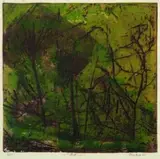 Elva Bett, The Forest, etching, 6/12