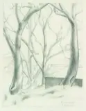 Anna Lois White, Long Bay, graphite on paper