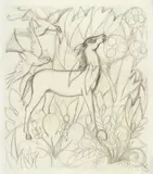 Anna Lois White, Nature Study, pencil on tracing paper