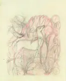 Anna Lois White, Nature Study with Fawn, pastel and pencil on paper