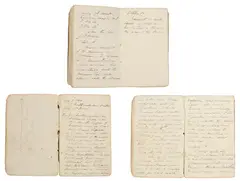 Denzil Ibbetson, Diary of the Voyage of the Northumberland to St. Helena, entries dated from August 3, 1815 to October 17, 1815