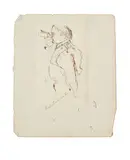 Denzil Ibbetson, Napoleon in profile looking through a Telescope
