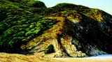 Peter Siddell, Untitled - View of the Cliff, acrylic on board