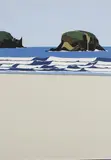 Robin White, Allan's Beach, screenprint, 28/60