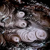 Theodorus Johannes Schoon, Waiotapu Mud Pool Study