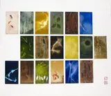 April Shin, Tempo of Diversity II, mixed media on board