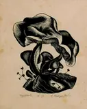 Ernest Mervyn Taylor, Toad Stools