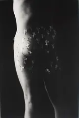Sebastian by Fiona Pardington, vintage gelatin silver print, offered May 2010