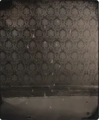 Ben Cauchi, In Sleep (Tracking), unique ambrotype