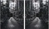 Ann Shelton, Sleeper, Lucy's Gully, South Taranaki, 2004, 2004, type C prints, diptych (edition of 5)