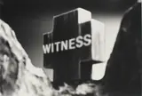 Ronnie van Hout, Witness