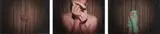 Sharon Margaret Russell, Untitled - A Fleshy Self: Consciousness, type C prints, triptych
