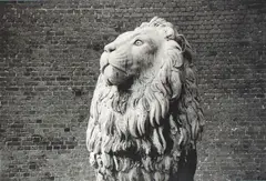 Lion, Copenhagen by Peter Peryer, gelatin silver print, offered May 2010