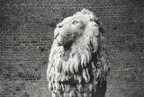 Peter Peryer, Lion, Copenhagen