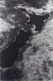 Peter Peryer, New Zealand