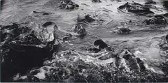 Anne Noble, Kaikoura from Te Hikoi o Kati Kuri: The Journey of Kati Kuri series, selenium-toned gelatin silver print, 1997