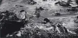 Anne Noble, Kaikoura from Te Hikoi o Kati Kuri: The Journey of Kati Kuri series