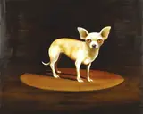 Joanna Braithwaite, The Whistling Chihuahua